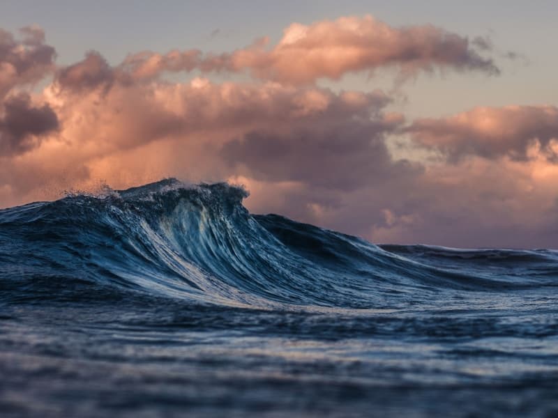 AquaVision: Artificial Intelligence for a New Quality of Aquaculture in Ukraine